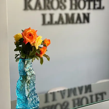 ホテル Karos Llaman ヒマラ