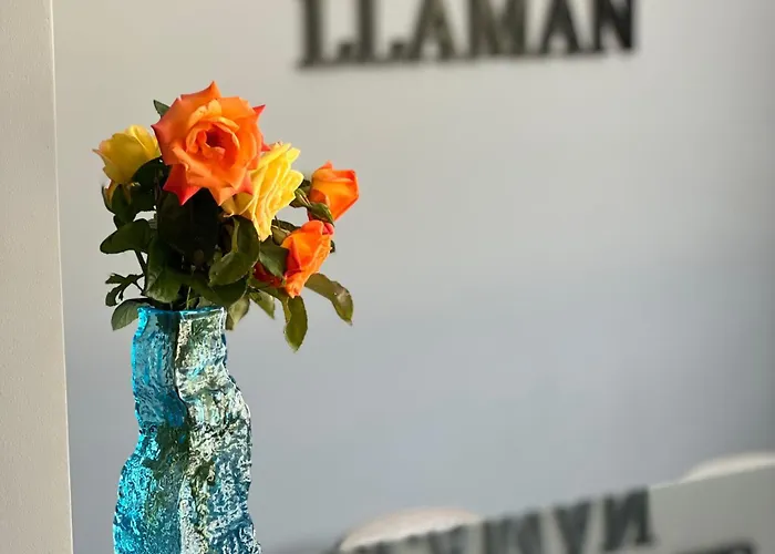 Hotel Karos Llaman Himare